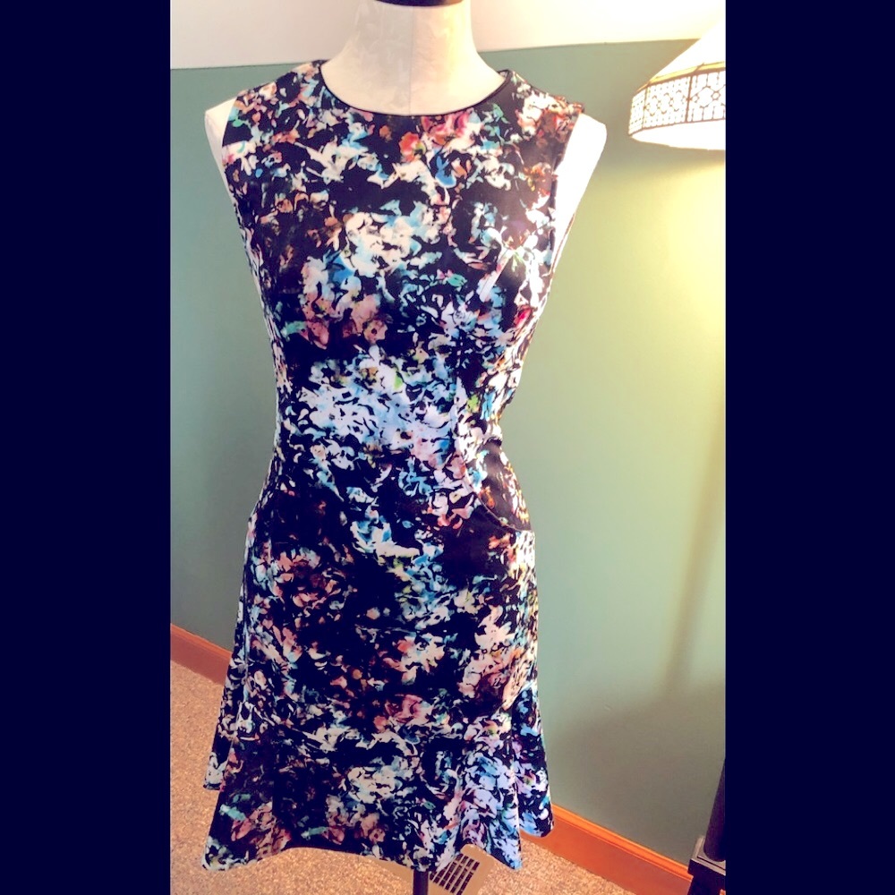 The Limited sleeveless dress